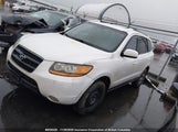 Hyundai Santa Fe Gl 5NMSG73E19H321806 снимка