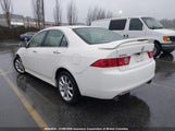 Acura Tsx JH4CL96806C800096 снимка
