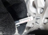 Honda Accord Exl 1HGCP36819A800791 снимка