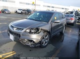 Acura Rdx Technology 5J8TB18517A801832 снимка