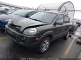 Hyundai Tucson Gl/Gls KM8JM72D58U850997 снимка