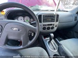 Ford Escape Xlt 1FMYU93155KE06900 снимка