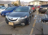 Acura Tl 19UUA96209A801144 снимка
