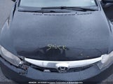 Honda Civic 2HGFA16409H105610 снимка