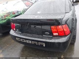 Ford Mustang Cobra Svt 1FAFP47V11F226342 снимка