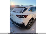 Ford Escape Platinum 1FMCU9JA4RUB11522 снимка