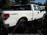 Ford F150 1FTFX1EF6EKF81427 fotografie