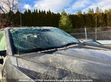 Ford F350 1FT8W3BT3LEE29974 снимка