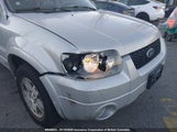 Ford Escape Limited 1FMYU94195KA64169 fotografie