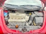 Volkswagen New Beetle 2.5L Luxury 3VWRW21C27M500160 fotografie