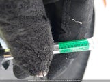 BMW X5 xDrive35I 5UXKR0C35H0X77031 снимка
