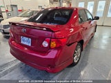 Toyota Corolla S/Le/Xle 2T1BU40EX9C176329 photo