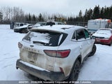 Ford Escape Se 1FMCU9G64NUA52470 photo
