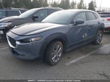 Mazda Cx-30 Preferred 3MVDMBCL4MM212795 снимка
