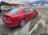 Toyota Corolla S/Le/Xle 2T1BU4EE4AC310832 снимка