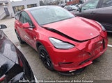 Tesla Model Y Long Range LRWYGDEE9PC081483 снимка