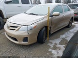 Toyota Corolla S/Le 2T1BU4EE1BC537896 fotografie