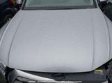 Audi Q5 Premium Plus WA1BNAFY9J2042924 снимка