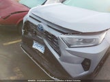 Toyota Rav4 Xle 2T3RWRFV6MW103082 fotografie