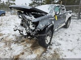 Chevrolet Colorado Zr2 1GCPTEE13N1120185 fotografie