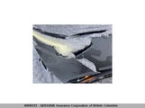 Buick Encore Gx Preferred Awd KL4AMCSL1SB033589 снимка