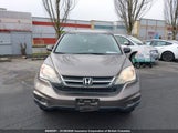 Honda Cr-V 5J6RE4H38AL812025 снимка