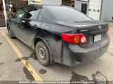 Toyota Corolla S/Le/Xle 2T1BU40E29C058985 снимка