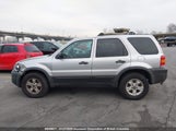 Ford Escape Xlt 1FMYU93116KD23840 снимка