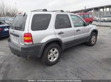 Ford Escape Xlt 1FMYU93116KD23840 снимка