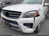 Mercedes-Benz Ml 350 4Matic 4JGDA5HB5EA314743 снимка