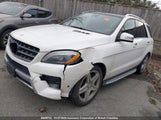 Mercedes-Benz Ml 350 4Matic 4JGDA5HB5EA314743 снимка
