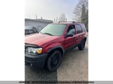 Ford Escape Xlt 1FMYU93175KE38828 снимка