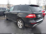 Mercedes-Benz Ml 350 Bluetec 4JGDA2EB9DA263684 снимка