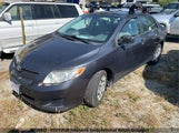 Toyota Corolla S/Le/Xle 2T1BU4EE1AC193128 снимка