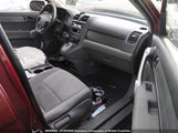 Honda Cr-V Lx 5J6RE38317L800950 photo