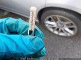 Dodge Charger Sxt 2C3CDXJG7MH671581 снимка