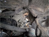 Porsche Cayenne S WP1AB2AY3KDA62596 photo