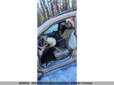 Nissan Murano Sl/Se JN8AZ08W54W316231 fotografie