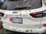 Ford Escape St Line 1FMCU9MNXPUA92888 снимка
