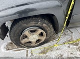 Chevrolet Trailblazer Ls/Lt 1GNDT13S852124953 снимка
