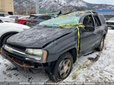 Chevrolet Trailblazer Ls/Lt 1GNDT13S852124953 снимка