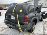 Chevrolet Trailblazer Ls/Lt 1GNDT13S852124953 снимка