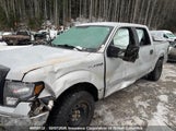 Ford F150 1FTFW1EF5CFC44823 fotografie