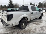 Ford F150 1FTFW1EF5CFC44823 fotografie