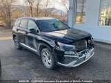 Hyundai Santa Fe Sel 5NMS3DAJ2MH323048 снимка