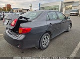 Toyota Corolla S/Le/Xle 2T1BU4EE8AC251753 снимка
