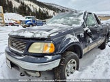 Ford F150 2FTPX18L03CA30952 fotografie