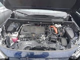 Toyota Rav4 Xle 2T3RWRFV8MW110468 fotografie