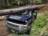 Hummer H3 5GTDN13E778148862 снимка