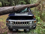 Hummer H3 5GTDN13E778148862 снимка